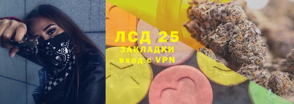 сатива Медвежьегорск
