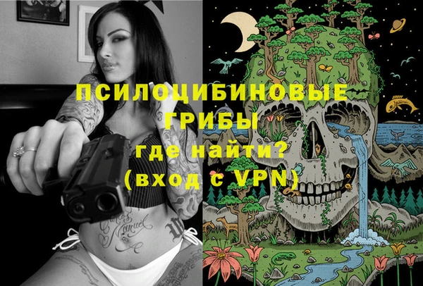 ПСИЛОЦИБИНОВЫЕ ГРИБЫ Мегион
