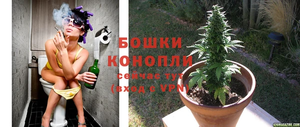 эйфоретик Медногорск