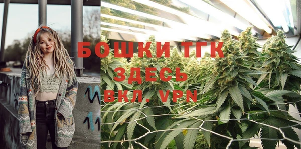 ПСИЛОЦИБИНОВЫЕ ГРИБЫ Мегион